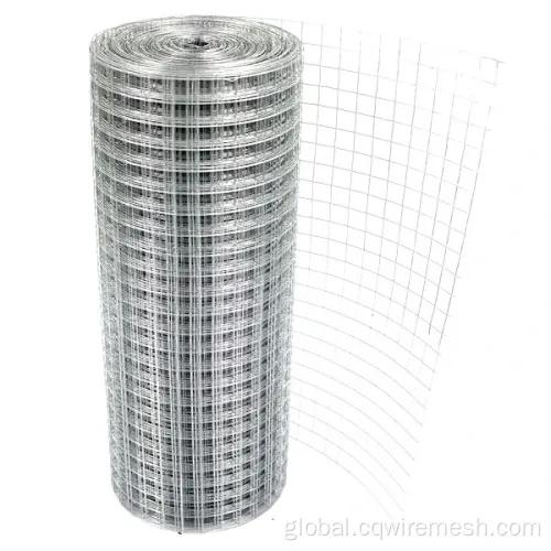 Pvc Garden Fence PVC Coated Galvanized Welded Wire Mesh Netting Roll Factory